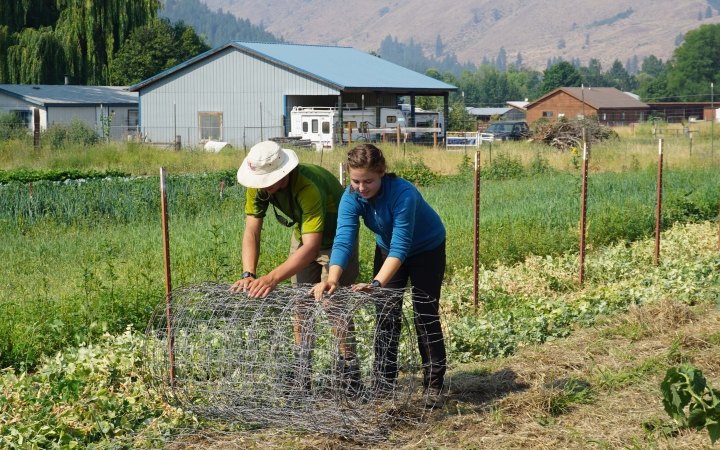 Two people work to roll chicken wire in a garden during a service project.